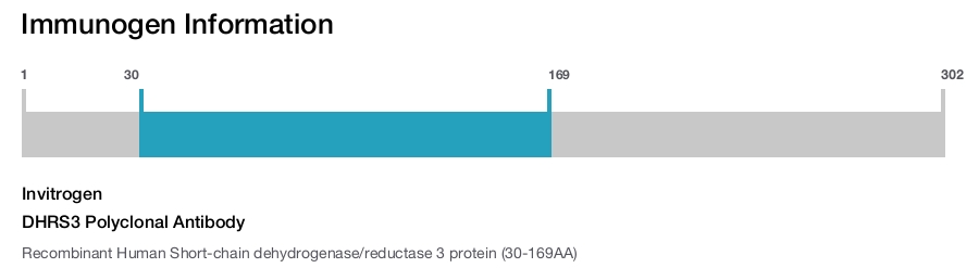 DHRS3 Polyclonal Antibody