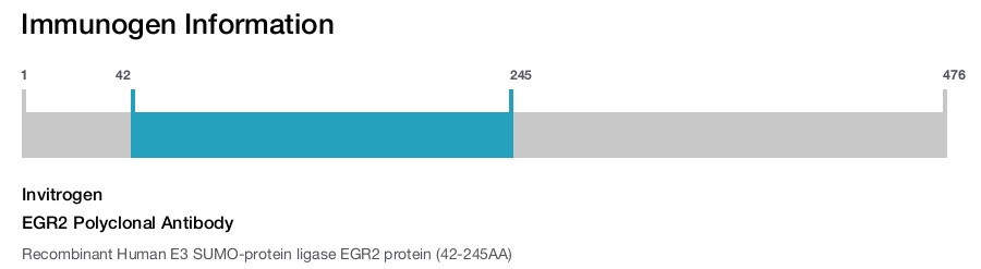 EGR2 Polyclonal Antibody