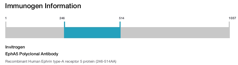 EphA5 Polyclonal Antibody
