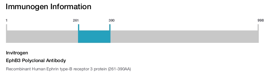 EphB3 Polyclonal Antibody