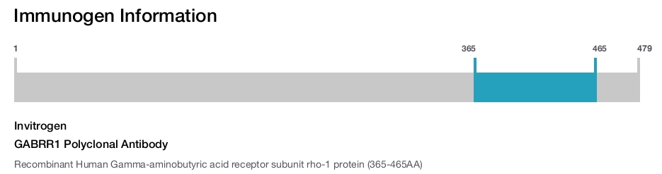 GABRR1 Polyclonal Antibody