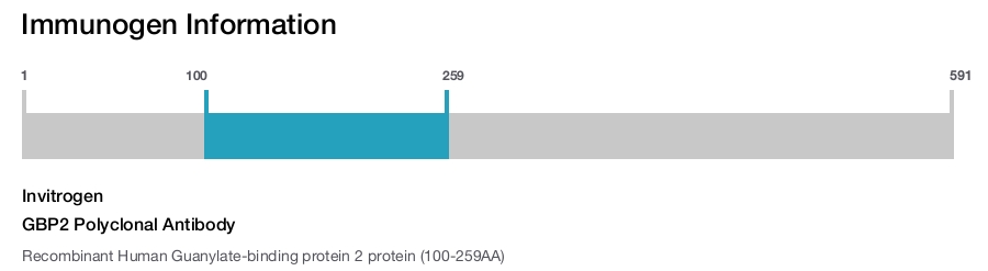 GBP2 Polyclonal Antibody
