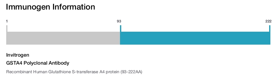 GSTA4 Polyclonal Antibody