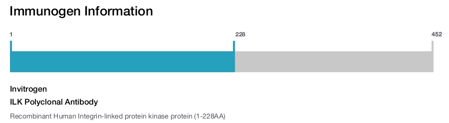 ILK Polyclonal Antibody