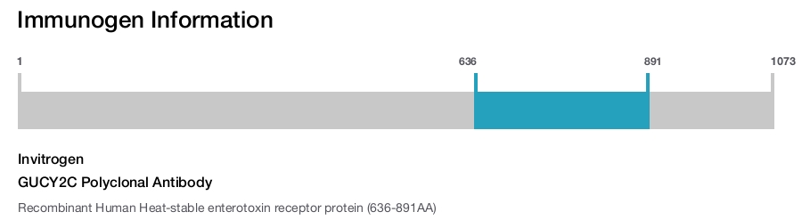 GUCY2C Polyclonal Antibody