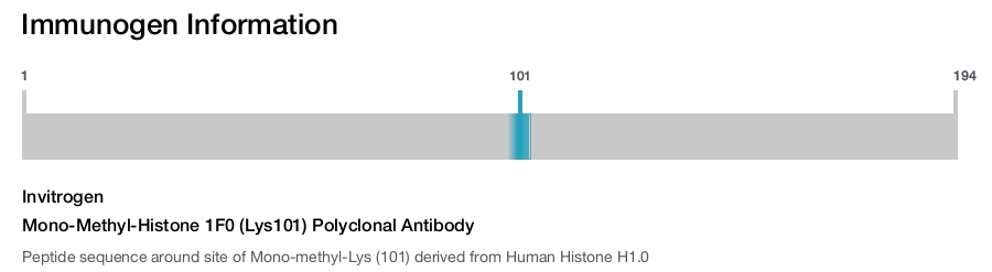 Mono-Methyl-Histone 1F0 (Lys101) Polyclonal Antibody