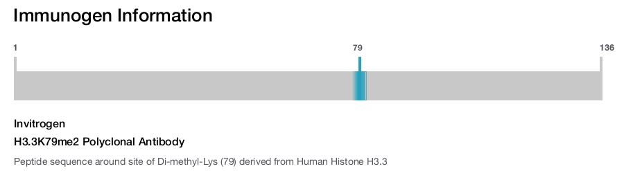 H3.3K79me2 Polyclonal Antibody