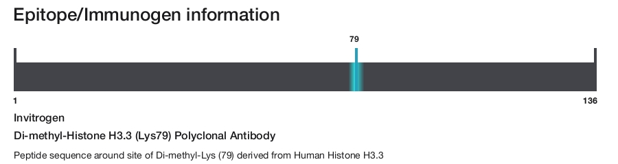 Di-methyl-Histone H3.3 (Lys79) Polyclonal Antibody
