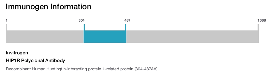 HIP1R Polyclonal Antibody