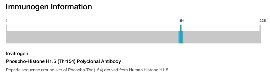 Phospho-Histone H1.5 (Thr154) Polyclonal Antibody