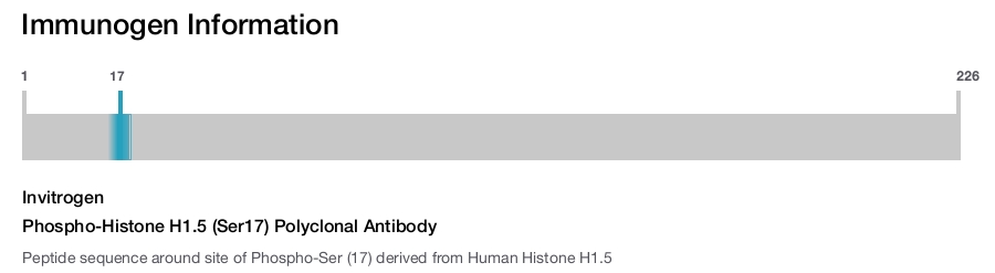 Phospho-Histone H1.5 (Ser17) Polyclonal Antibody