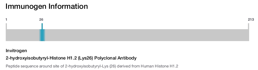 2-hydroxyisobutyryl-Histone H1.2 (Lys26) Polyclonal Antibody