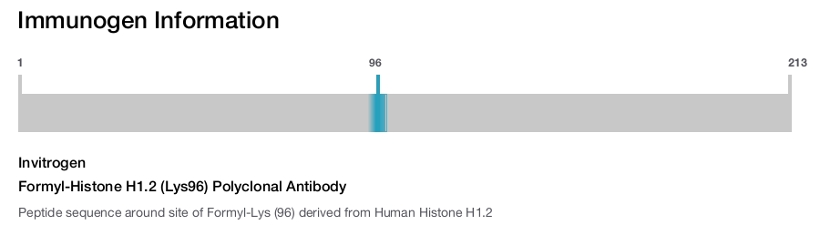 Formyl-Histone H1.2 (Lys96) Polyclonal Antibody
