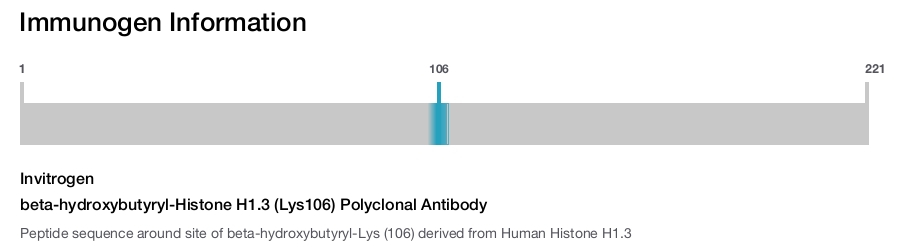 beta-hydroxybutyryl-Histone H1.3 (Lys106) Polyclonal Antibody