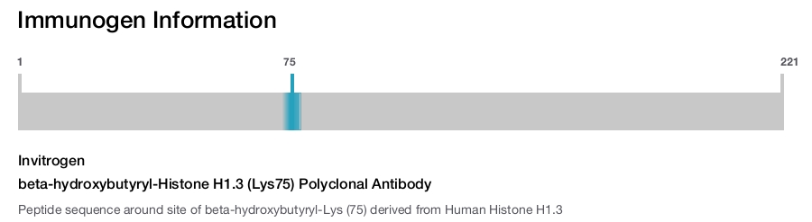 beta-hydroxybutyryl-Histone H1.3 (Lys75) Polyclonal Antibody