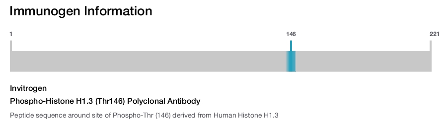 Phospho-Histone H1.3 (Thr146) Polyclonal Antibody