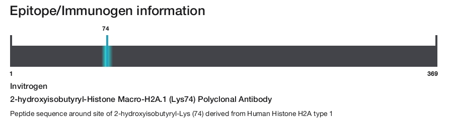2-hydroxyisobutyryl-Histone Macro-H2A.1 (Lys74) Polyclonal Antibody