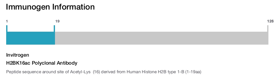 H2BK16ac Polyclonal Antibody