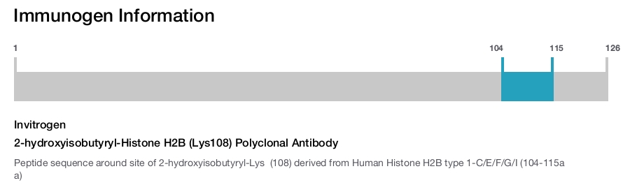 2-hydroxyisobutyryl-Histone H2B (Lys108) Polyclonal Antibody