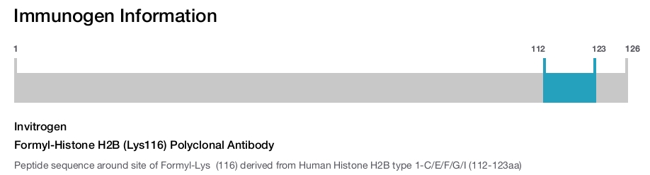 Formyl-Histone H2B (Lys116) Polyclonal Antibody