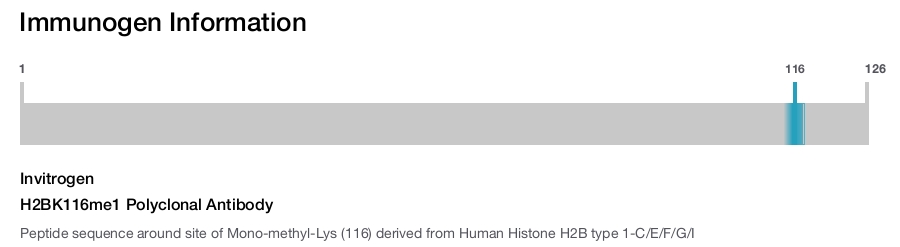 H2BK116me1 Polyclonal Antibody