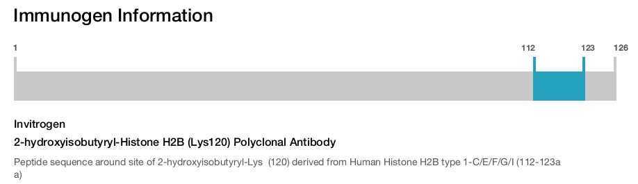 2-hydroxyisobutyryl-Histone H2B (Lys120) Polyclonal Antibody