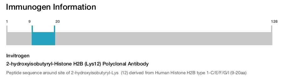 2-hydroxyisobutyryl-Histone H2B (Lys12) Polyclonal Antibody