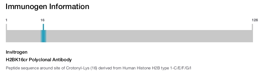 H2BK16cr Polyclonal Antibody