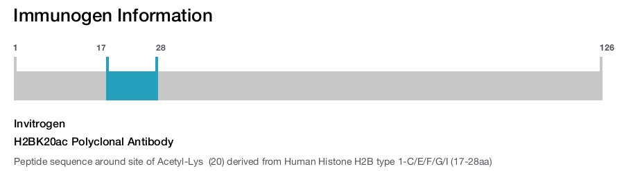 H2BK20ac Polyclonal Antibody