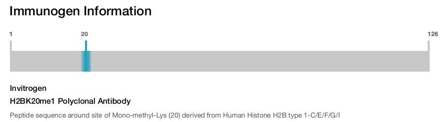 H2BK20me1 Polyclonal Antibody
