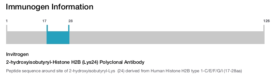 2-hydroxyisobutyryl-Histone H2B (Lys24) Polyclonal Antibody
