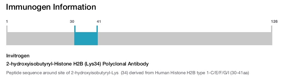 2-hydroxyisobutyryl-Histone H2B (Lys34) Polyclonal Antibody