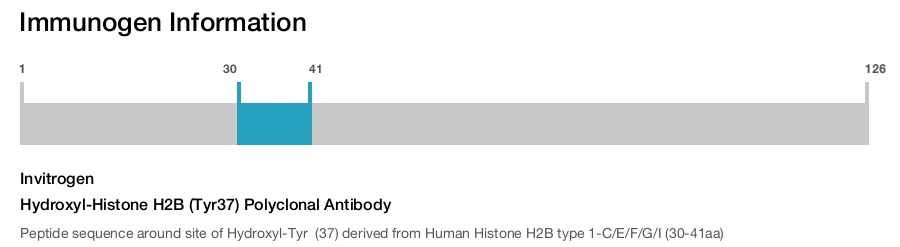 Hydroxyl-Histone H2B (Tyr37) Polyclonal Antibody