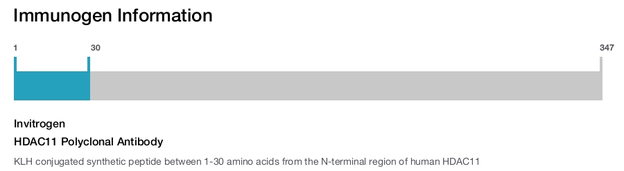 HDAC11 Polyclonal Antibody