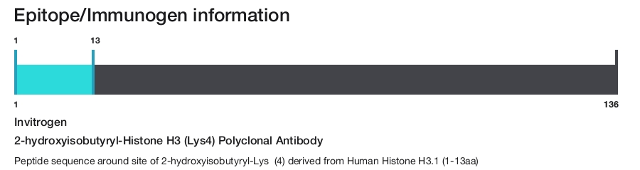 2-hydroxyisobutyryl-Histone H3 (Lys4) Polyclonal Antibody