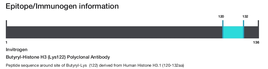 Butyryl-Histone H3 (Lys122) Polyclonal Antibody