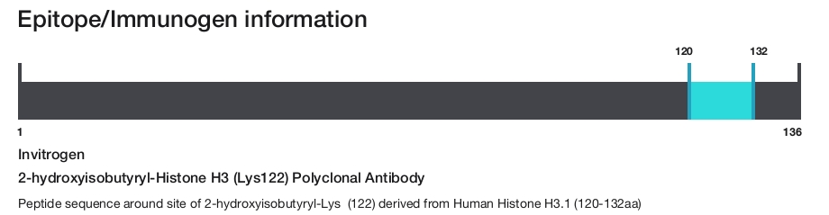 2-hydroxyisobutyryl-Histone H3 (Lys122) Polyclonal Antibody