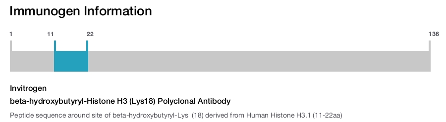 beta-hydroxybutyryl-Histone H3 (Lys18) Polyclonal Antibody