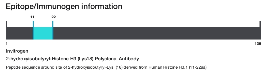 2-hydroxyisobutyryl-Histone H3 (Lys18) Polyclonal Antibody