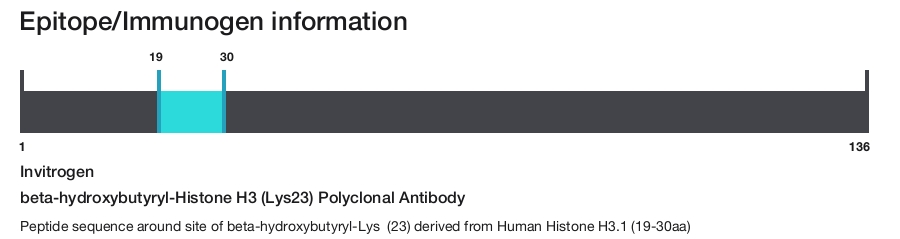 beta-hydroxybutyryl-Histone H3 (Lys23) Polyclonal Antibody