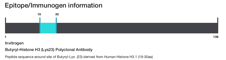Butyryl-Histone H3 (Lys23) Polyclonal Antibody