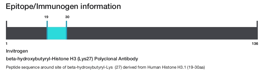 beta-hydroxybutyryl-Histone H3 (Lys27) Polyclonal Antibody