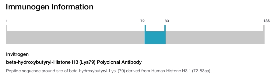 beta-hydroxybutyryl-Histone H3 (Lys79) Polyclonal Antibody