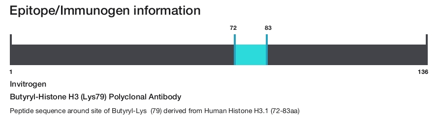 Butyryl-Histone H3 (Lys79) Polyclonal Antibody