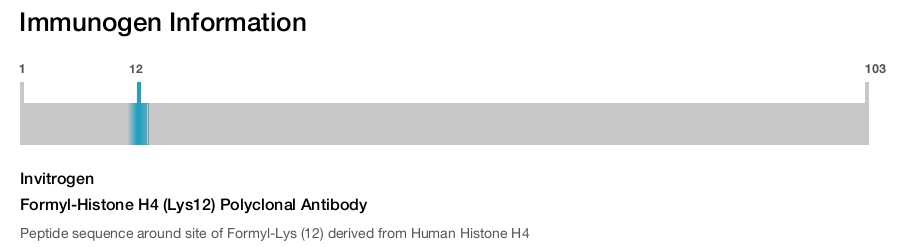 Formyl-Histone H4 (Lys12) Polyclonal Antibody