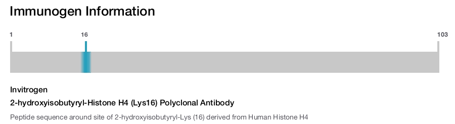 2-hydroxyisobutyryl-Histone H4 (Lys16) Polyclonal Antibody