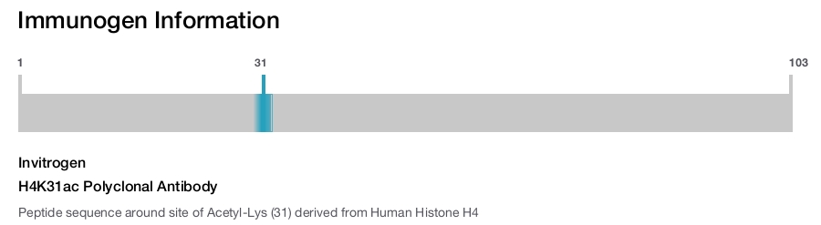 H4K31ac Polyclonal Antibody