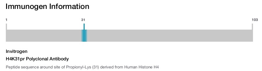 H4K31pr Polyclonal Antibody