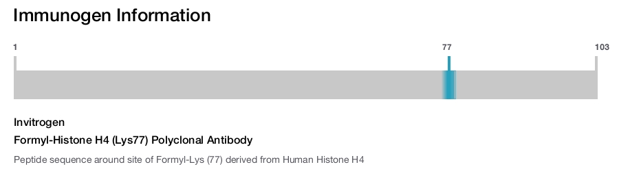 Formyl-Histone H4 (Lys77) Polyclonal Antibody