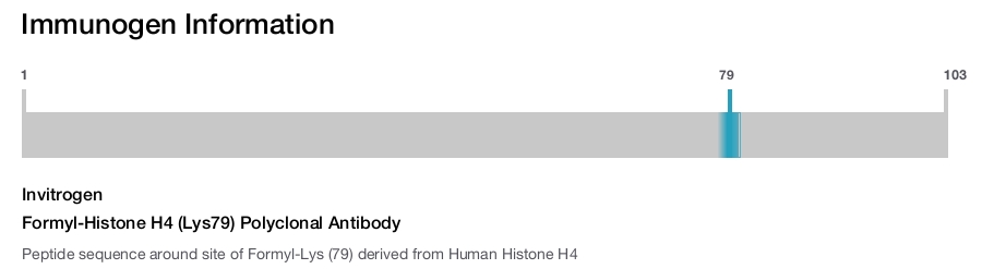 Formyl-Histone H4 (Lys79) Polyclonal Antibody